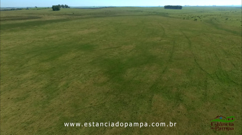 DOS EÓLICOS VIRA P FAZENDA_Moment.00_02_23_10.Quadro571_4f9f723a341d522f050fdac7d27a3b75cdf00858.jpg